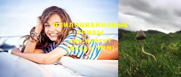 ПСИЛОЦИБИНОВЫЕ ГРИБЫ Беломорск