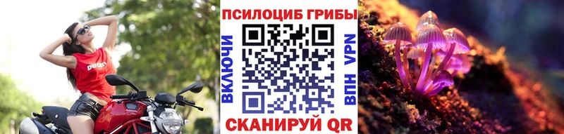 Галлюциногенные грибы GOLDEN TEACHER  как найти   Елабуга 